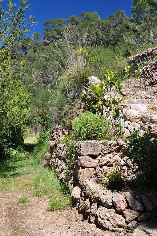Villa Sa Capsana Valldemossa  Spain